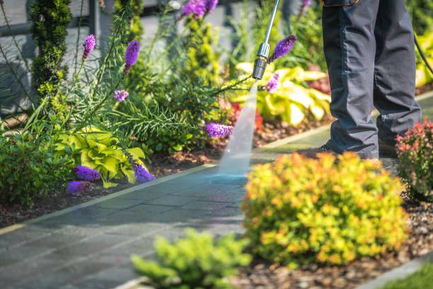 Best Fence Cleaning  in Olean, NY