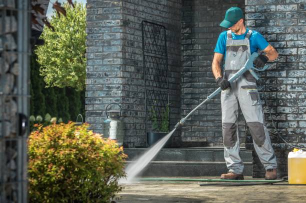 Best Paint Preparation  in Olean, NY