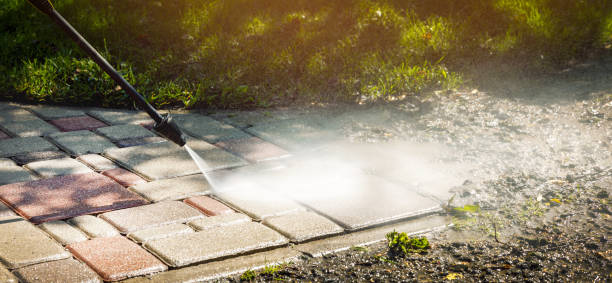 Best Solar Panel Cleaning  in Olean, NY