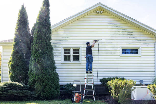 Best Patio and Deck Pressure Washing  in Olean, NY